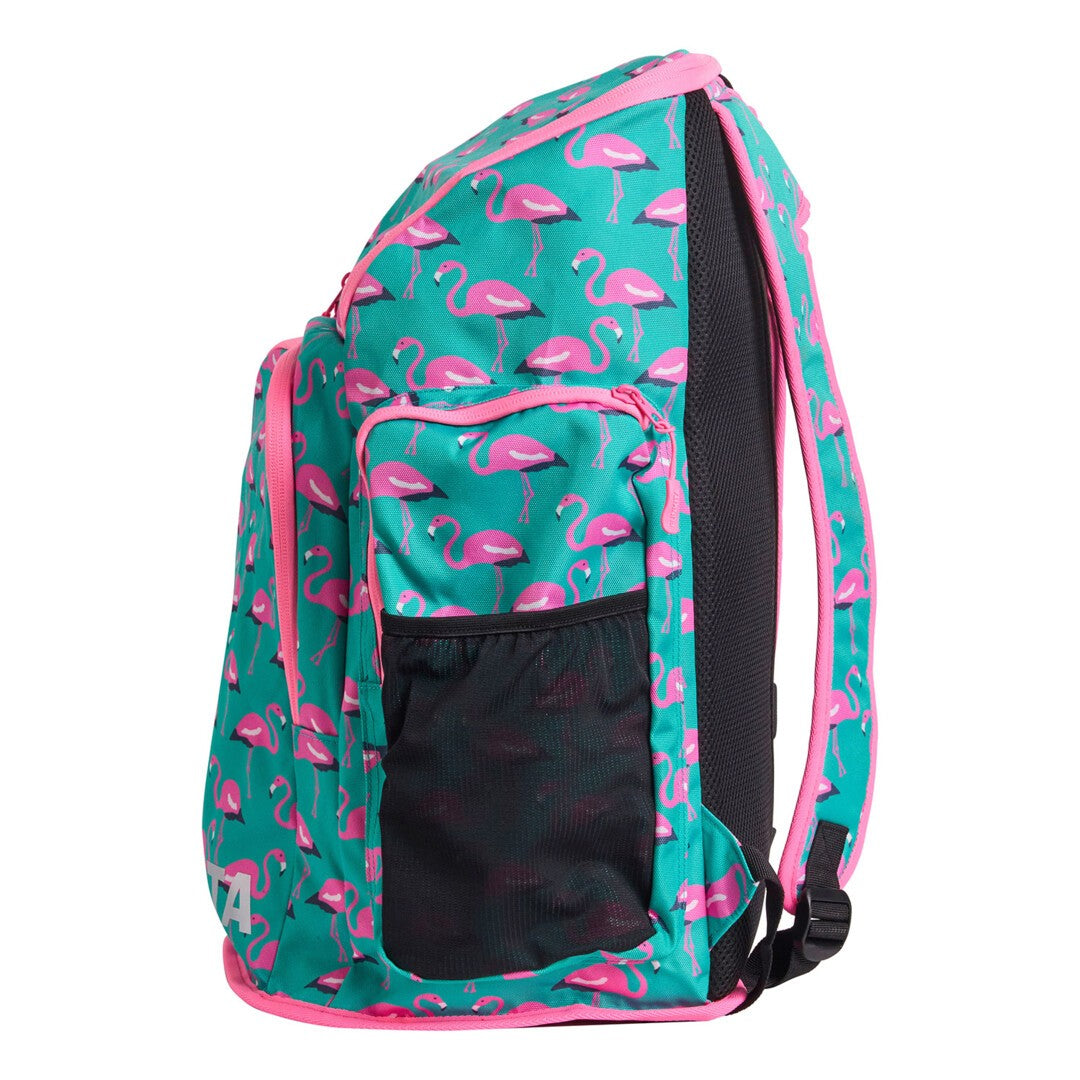 Go Flamingo