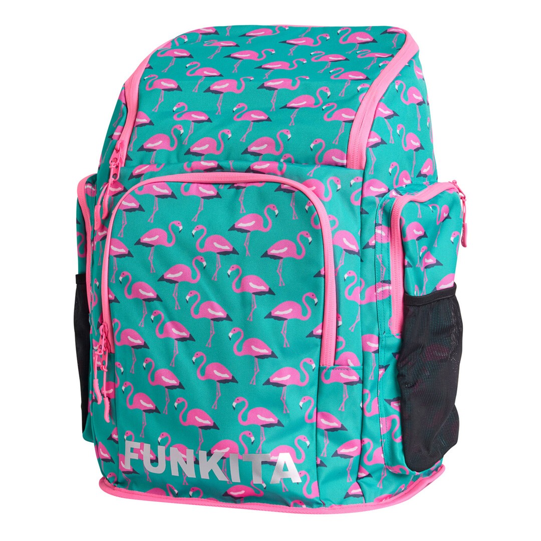 Go Flamingo